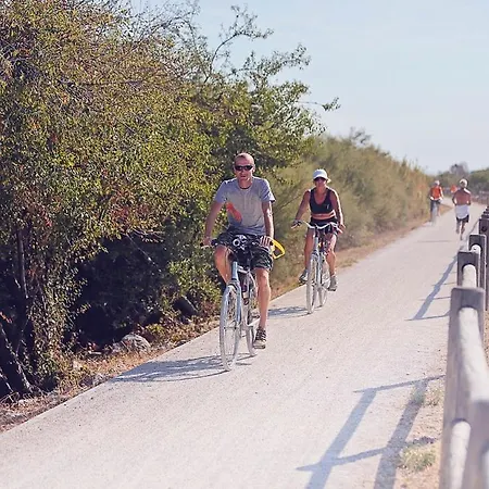 Lägenhet Central Suite